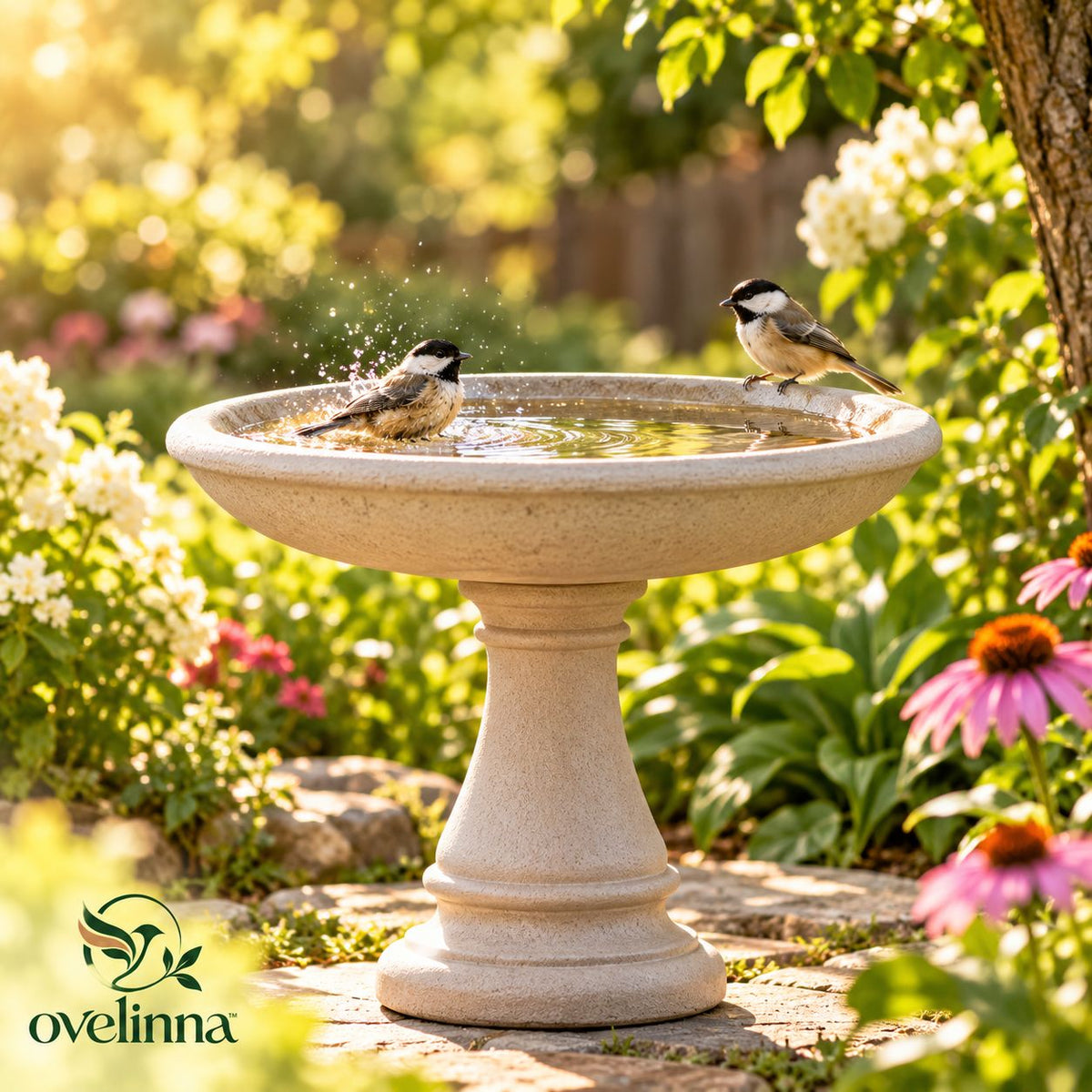 ovelinna™ Bird Bath - main image