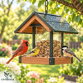 ovelinna™ Weatherproof Bird Feeder - main image